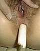oriental