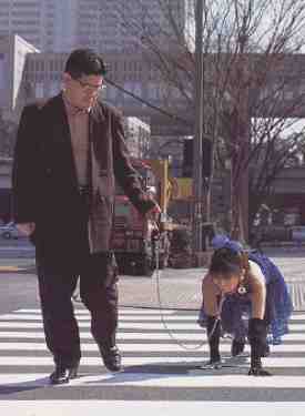 No Animales